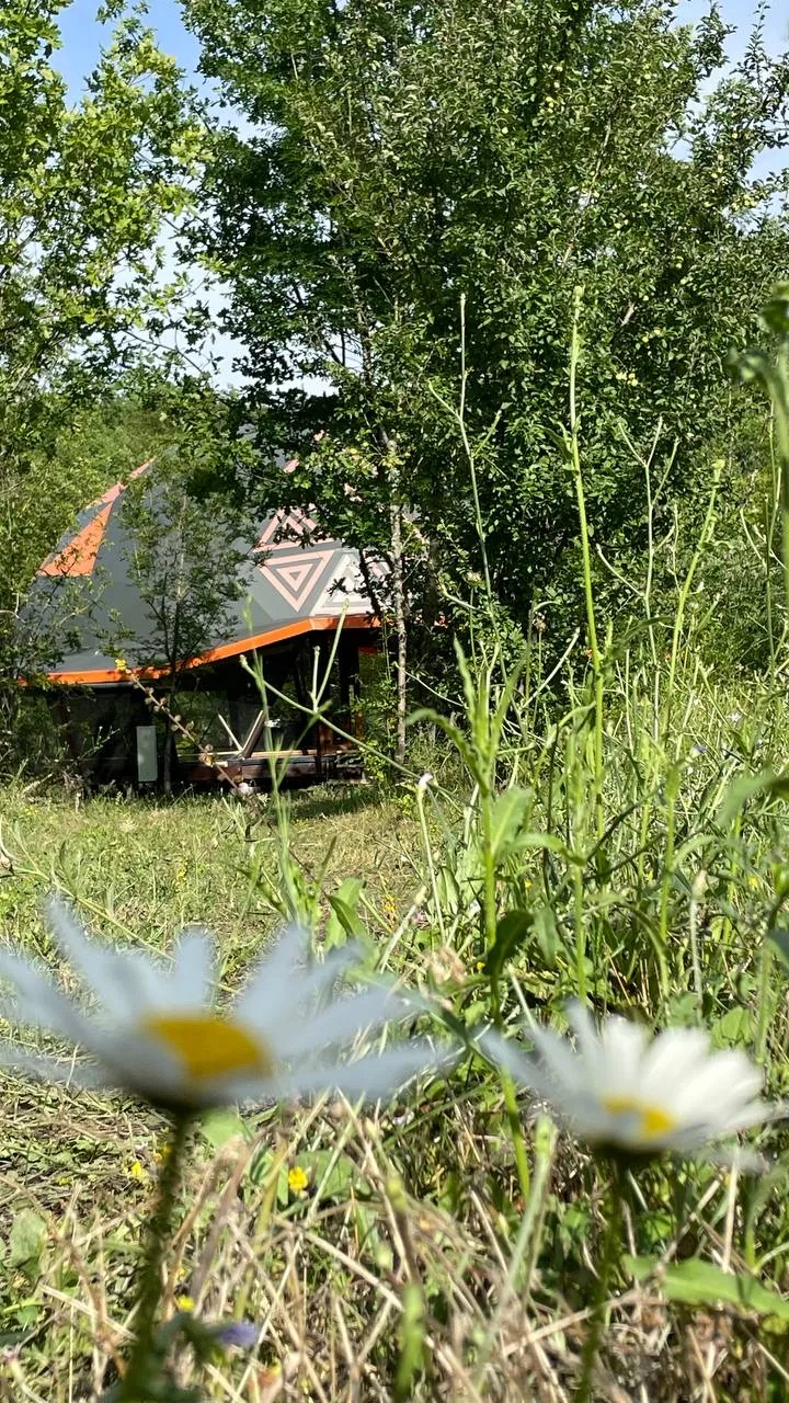 Эко-домик среди зелени и цветов